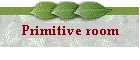 Primitive Room